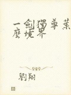 一剑独尊叶玄什么境界