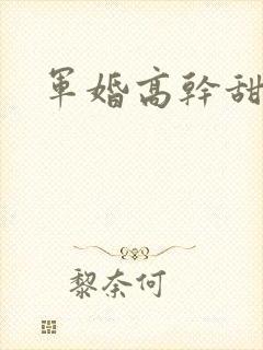 军婚高干甜宠文
