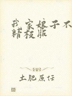 我家娘子不对劲精校版