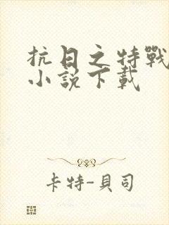 抗日之特战兵王小说下载