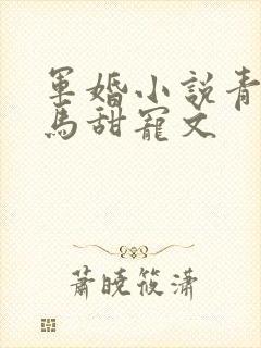 军婚小说青梅竹马甜宠文