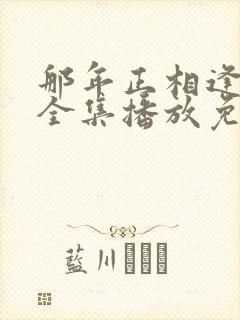 那年正相逢短剧全集播放免费观看