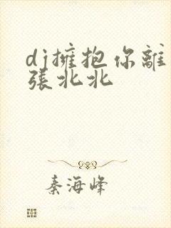 dj拥抱你离去张北北