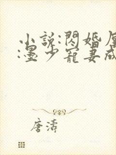 小说:闪婚厚爱:墨少宠妻成瘾