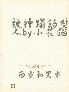 被糟蹋的双性美人by小花猫