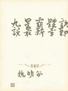 九星霸体诀 小说最新章节