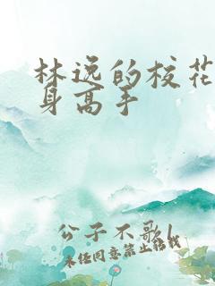 林逸的校花的贴身高手