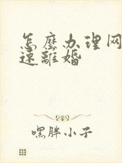 怎么办理网上快速离婚