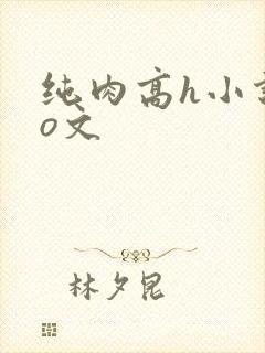 纯肉高h小说po文