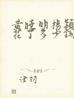 黄晓明杨颖婚礼花了多少钱