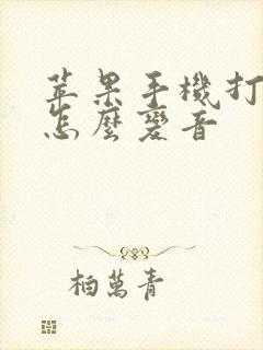 苹果手机打电话怎么变音