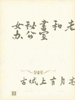 女秘书和老板在办公室