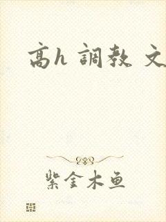高h 调教 文