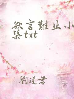 欲言难止小说全集txt