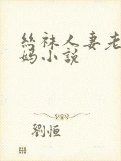 丝袜人妻老师妈妈小说