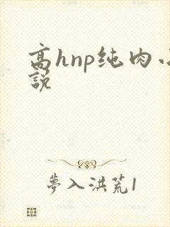 高hnp纯肉小说