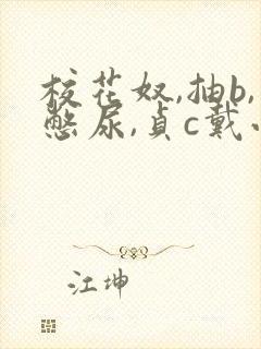 校花奴,抽b,憋尿,贞c戴小说