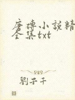 唐砖小说精校版全集txt