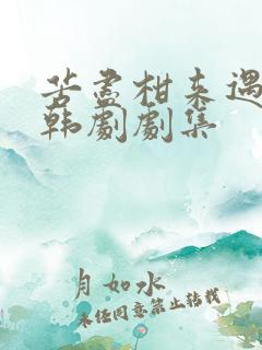 苦尽柑来遇见你韩剧剧集