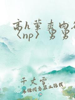 高h荤爽肉欲文〈np〉男男