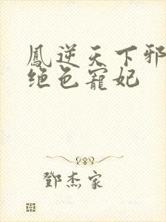 凤逆天下邪帝的绝色宠妃