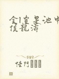 金l岂是池中物侯龙涛