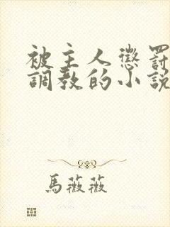 被主人惩罚玩弄调教的小说