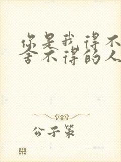 你是我得不到又舍不得的人是什么歌