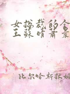 女总裁的全能兵王苏晴萧晨