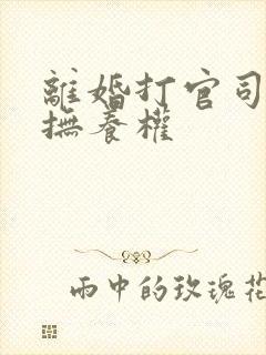 离婚打官司孩子抚养权