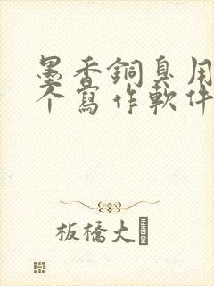 墨香铜臭用的哪个写作软件写的小说