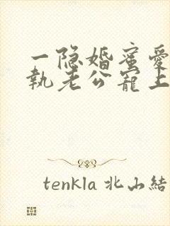 一隐婚蜜爱:偏执老公宠上瘾