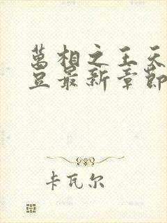 万相之王天蚕土豆最新章节无弹窗