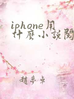 iphone用什么小说阅读器好