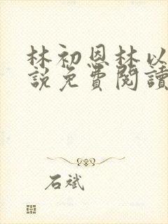 林初恩林以辰小说免费阅读最新章节