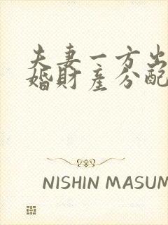 夫妻一方出轨离婚财产分配判决