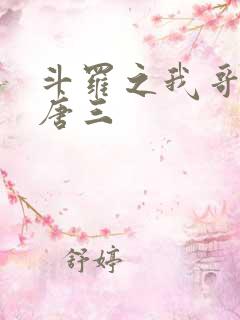 斗罗之我哥哥是唐三