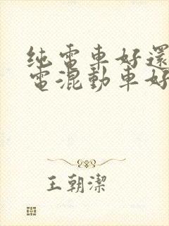 纯电车好还是插电混动车好