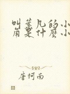 叫叶凡的小说主角是什么小说