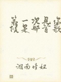 第一次见你的时候是哪首歌的歌词