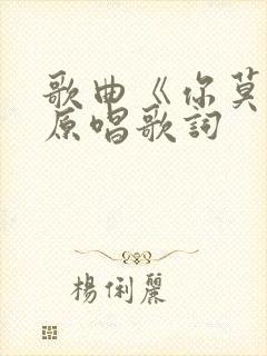 歌曲《你莫走》原唱歌词