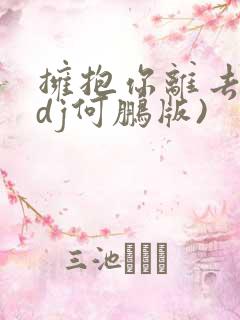 拥抱你离去 (dj何鹏版)