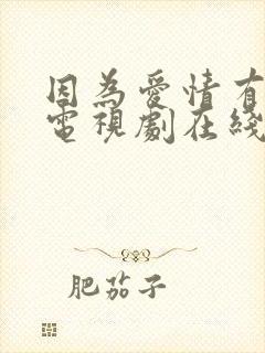 因为爱情有多美电视剧在线免费观看