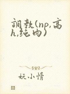 调教(np,高h,纯肉)