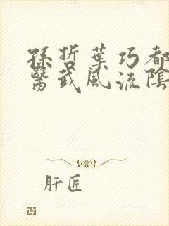 孙哲叶巧都市之医武风流阴阳圣心诀