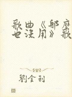 歌曲《那么爱你也没用》歌词