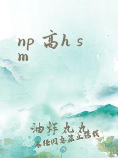 np 高h sm