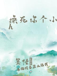 操死你个小骚货h