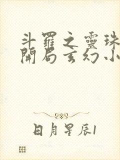 斗罗之灵珠神剑开局玄幻小猪小说精校版