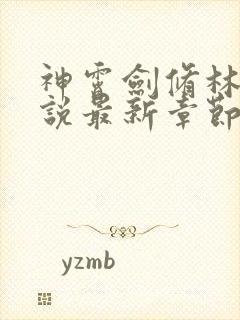 神霄剑修林枫小说最新章节更新